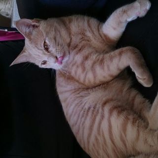 眠くなると 何をされても 睡眠優先の変わり者♪