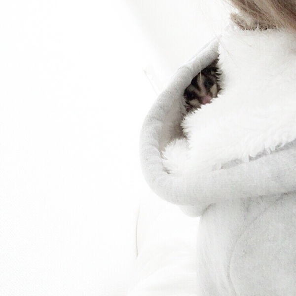 里親募集してます。 サムネイル2