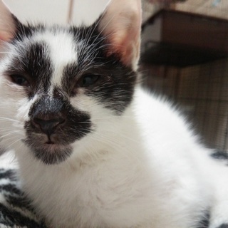 アトムのこども、甘ったれの気のいい男の子