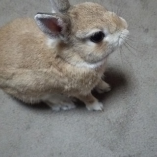 可愛がってくれる方でよろしくお願いします★