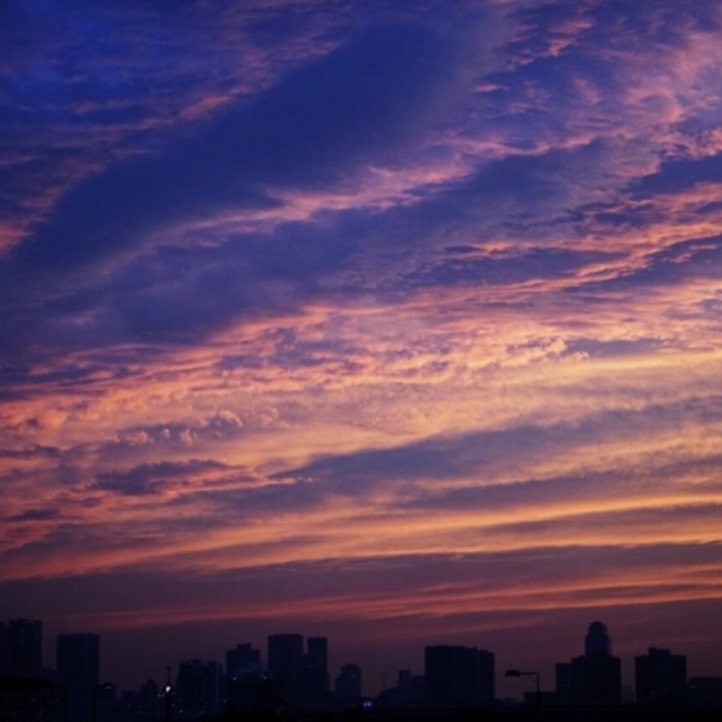 ゆーたろ。のカバー写真