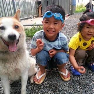 どなたか急ぎで助けて下さい