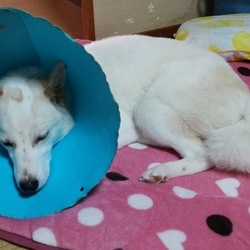 しょんぼり→復活！