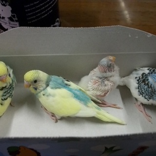 たくさんのご応募ありがとうございました