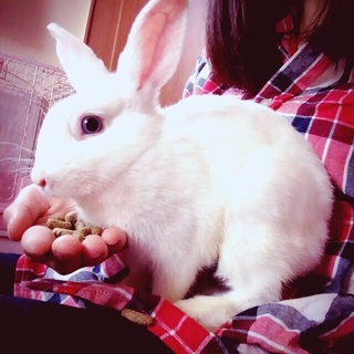 里親さん決定！