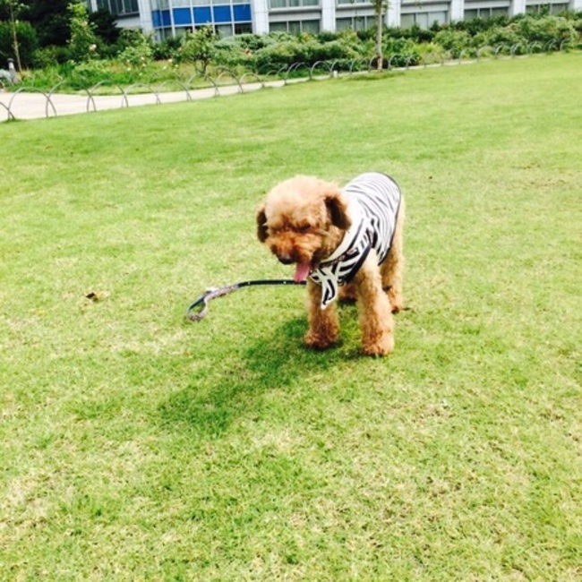 riiiiiiiisのカバー写真