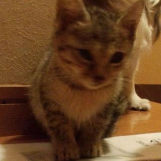 ご閲覧ありがとうございました。