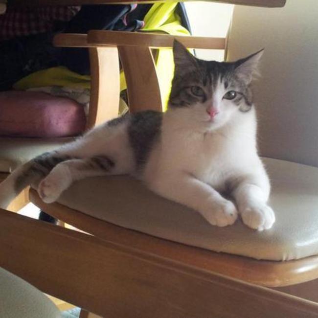 kurutonのカバー写真