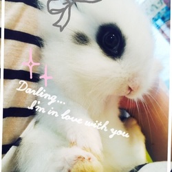 爪切りのついでに お股をプニプニ