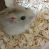 ぼーっ。