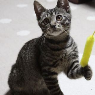 ２ヶ月半の男の子