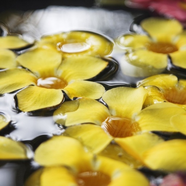 ぱてのカバー写真