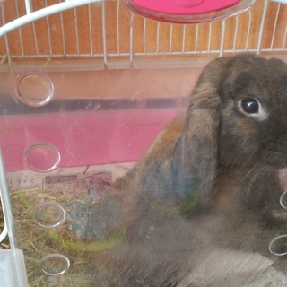 可愛がってくださる方。