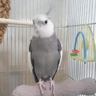 たくさんの応募ありがとうございました！