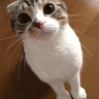 優しい男の子8ヶ月