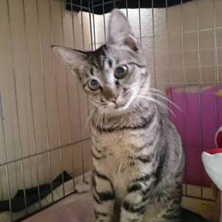 憎めない やんちゃさの姫ちゃん♪