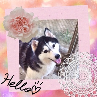 交渉中のため募集を中止しています！