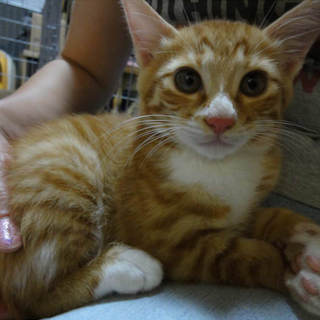 ありがとうございました！