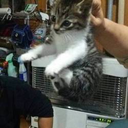 9ヶ月前のシオン