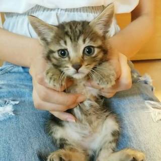 里親決定しました！