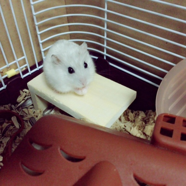 なあものカバー写真