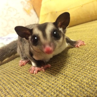 応募者多数の為一時募集終了にします