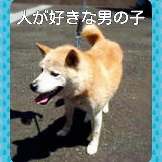 人が好きな男の子