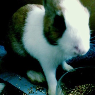 里親さん決定！