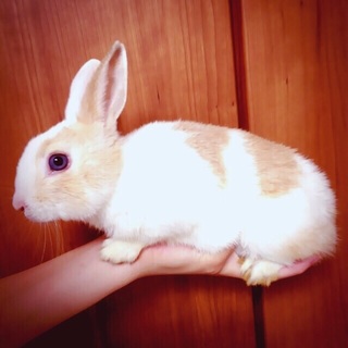 里親さん決定！