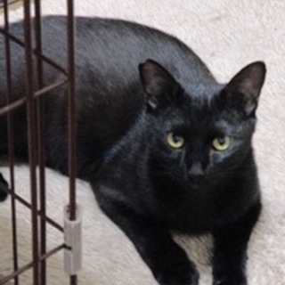 ふうた　　10か月くらいの男の子