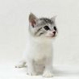 がんばっている幼い命