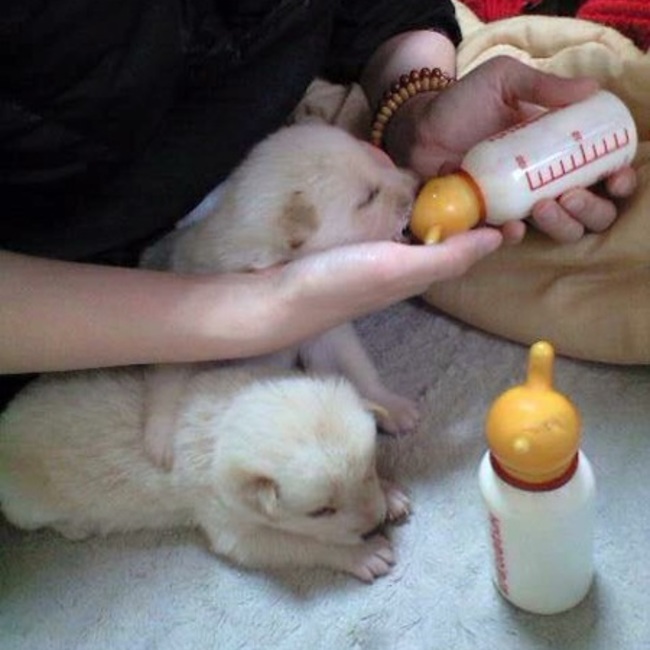 8ru5のカバー写真