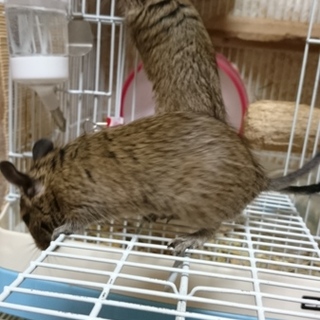 応募多数の為一旦終了させていただきます。