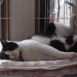 家族になり、やりたい放題！