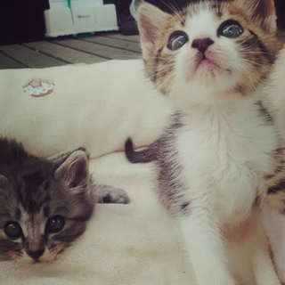 ありがとうございました！！