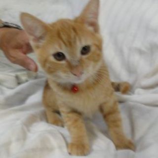 元気で活発な男の子です。