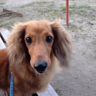 大至急お願いします。