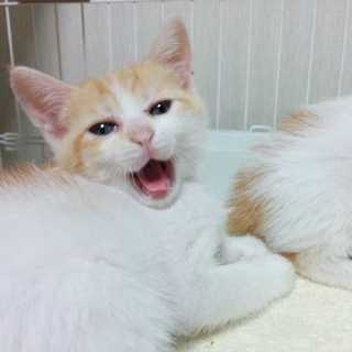 6月7日生まれの女の子