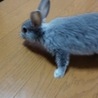 できれば早めにお願いします。 サムネイル2