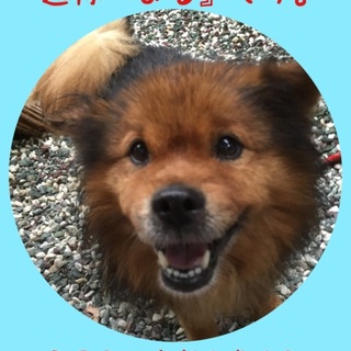 元気印の『まる』をもらってください(^o^)