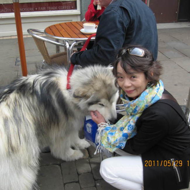 cavachanのカバー写真