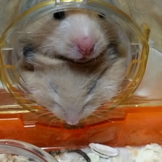 沢山のご応募有難うございます!!!!