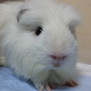 ありがとうございました！