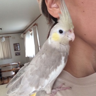 沢山のご応募、本当にありがとうございました！！