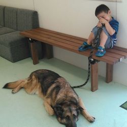 ２回目の動物病院