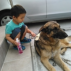 「抜け毛がすごいです」サムネイル1