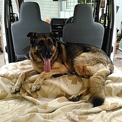 「抜け毛がすごいです」サムネイル3