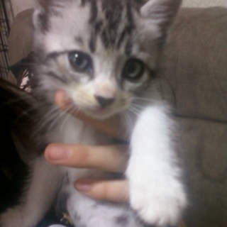 3ヶ月の可愛い姉妹