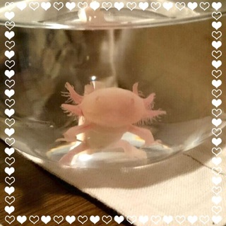 ありがとうございました。