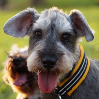 おっとりしていて素直な男の子♪